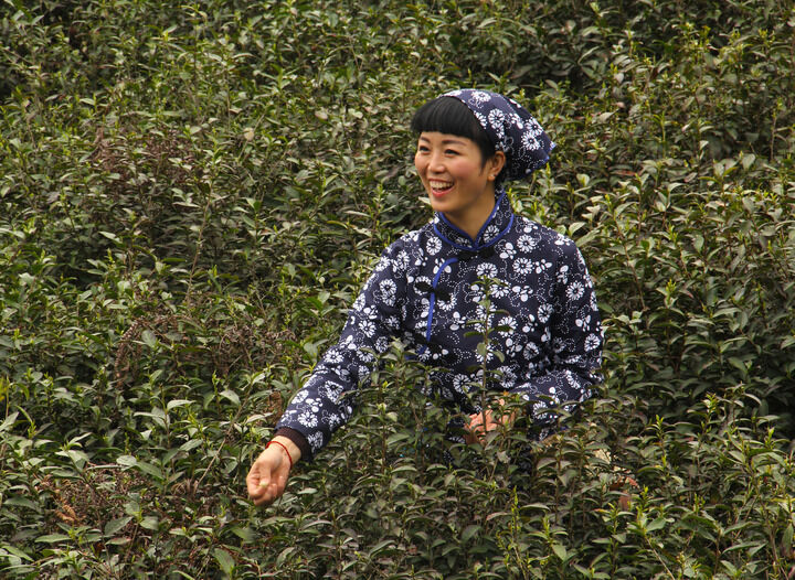 一对一视频聊天网站 镜中魅影